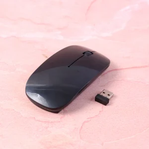 Compact Wireless Mouse